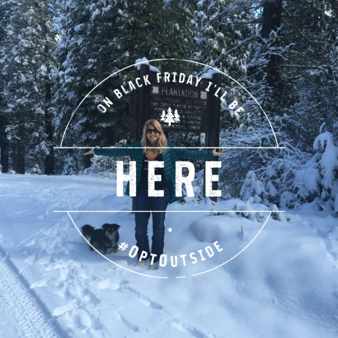 My Black Friday "Opting Outside" by taking a walk in the snow with the dogs