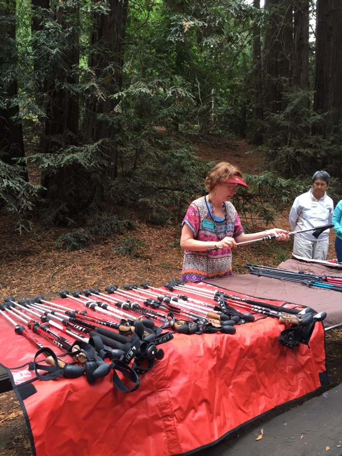 I took Jayah's class before my first Camino and learned how to select, hold, and use trekking poles. This lesson was extremely valuable and helped me stay injury free on my Caminos.