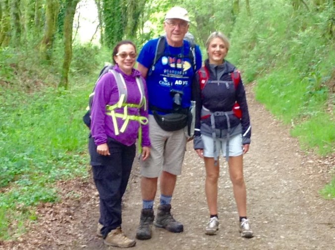 Eucalyptus- lined woods