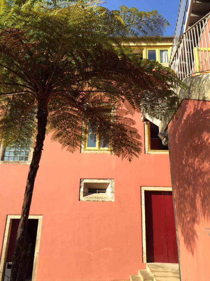 Back patio of albergue