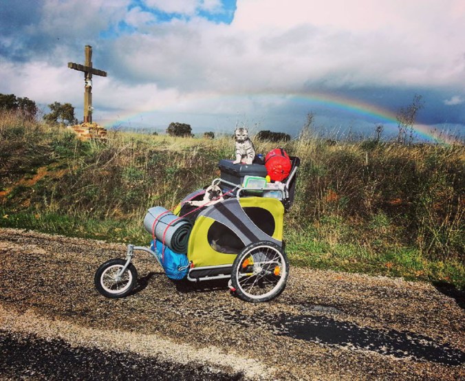 Bandito pointing the way to the end of the rainbow