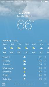 What a difference from when we arrived on May 11.