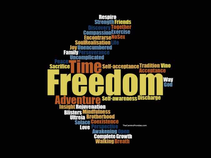 Camino Provides for Men