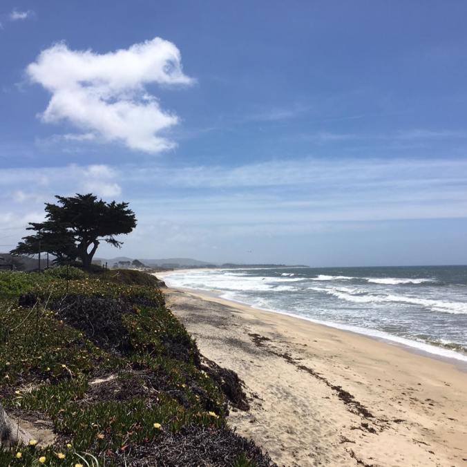 Hike along the California Coastal Trail in Half Moon Bay Sunday, April 23