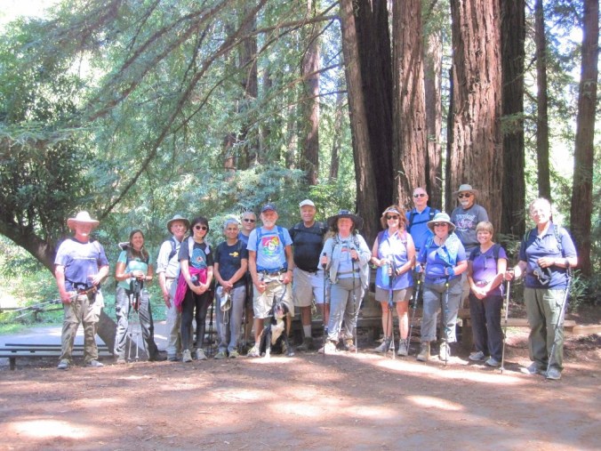 Group photo beneath towering redwoods on the Spring Trail from the 2016 hike.
