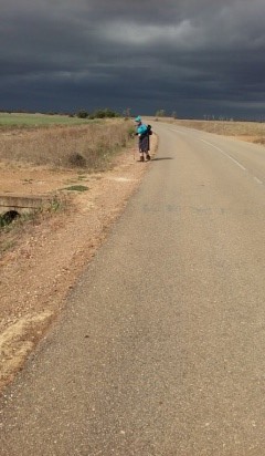 Cecilia before the rain