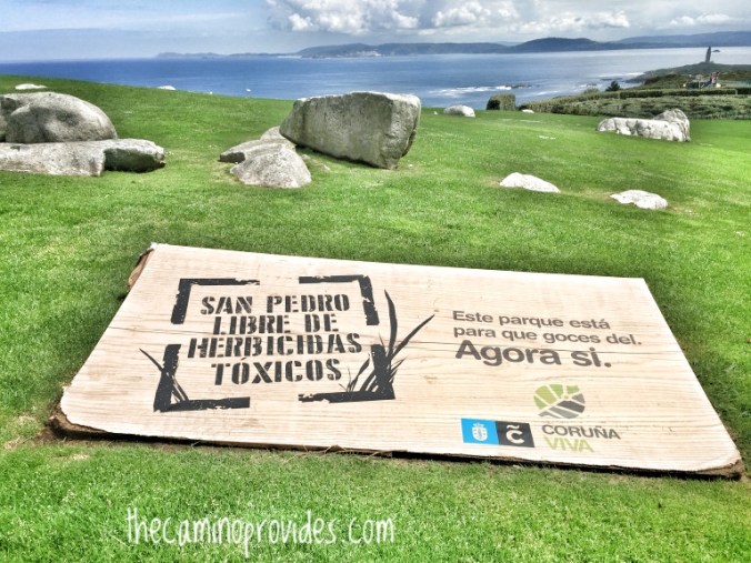 2462B332-77B3-445F-9636-EA3C413B4CB8