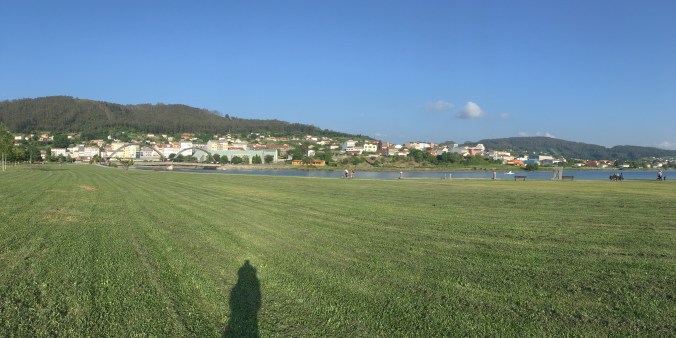 I did yoga on this grass