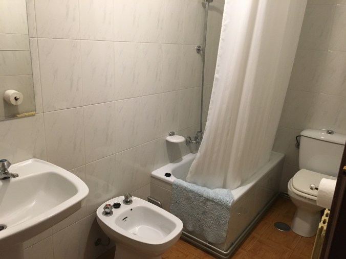 The bathroom in the hallway with shower, toilet, bidet and large sink. 