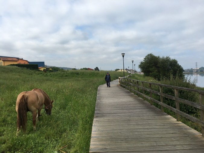 Boardwalk along the river in Neda