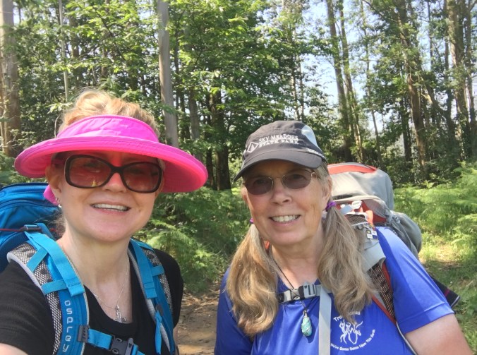 We were happy to find some shade on this path through a forest.