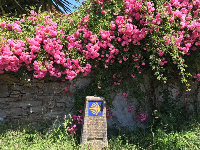 Camino Shell Marker