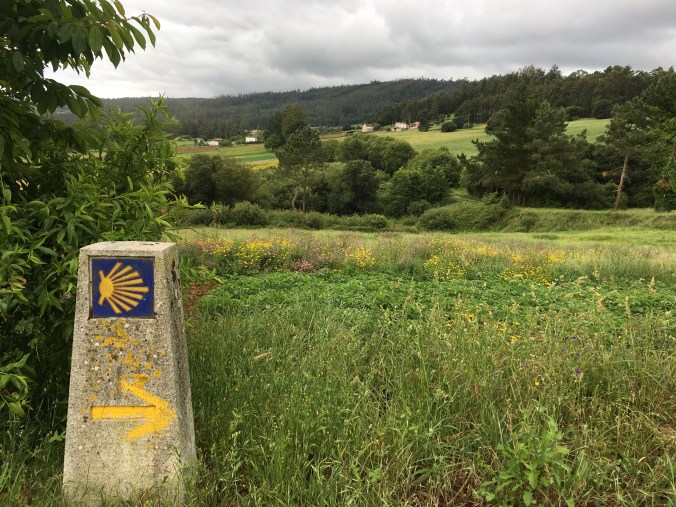 Excellent way markers on this route