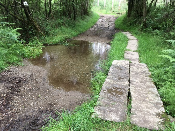 I love these stone crossings