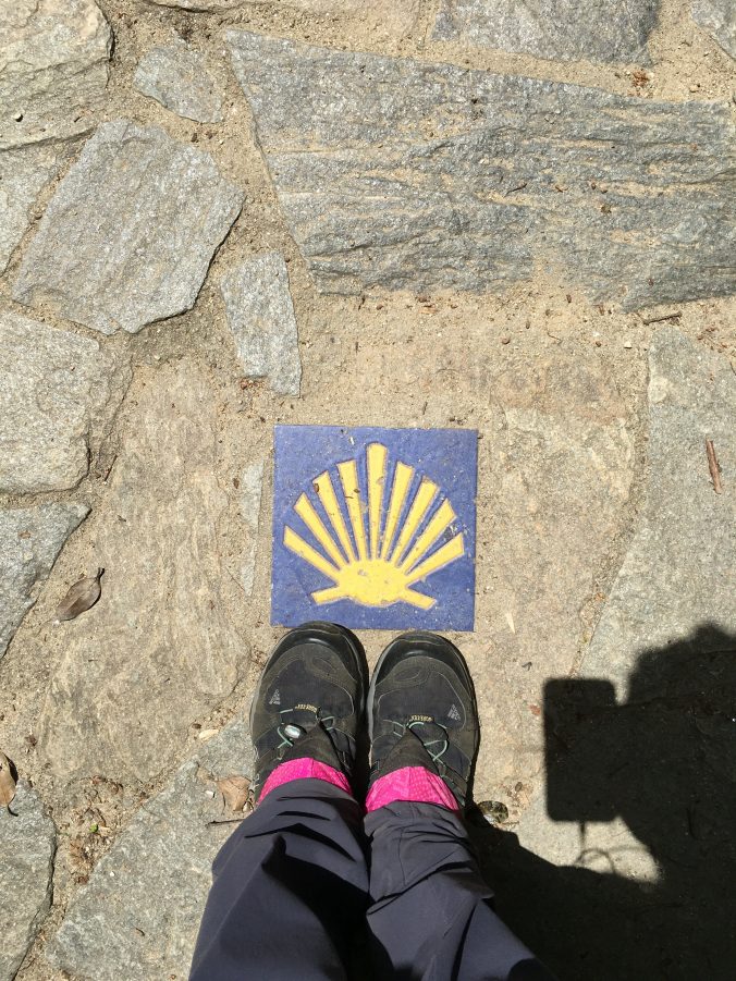 I was finally out of the woods and was happy to see a shell marker. Civilization must be near!