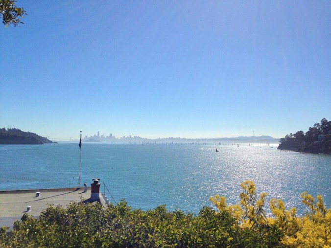 View of San Francisco Bay from Belvedere 