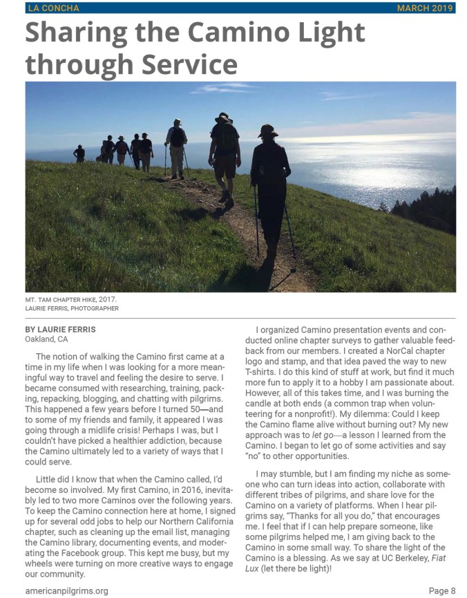 Sharing the Camino Light through Service