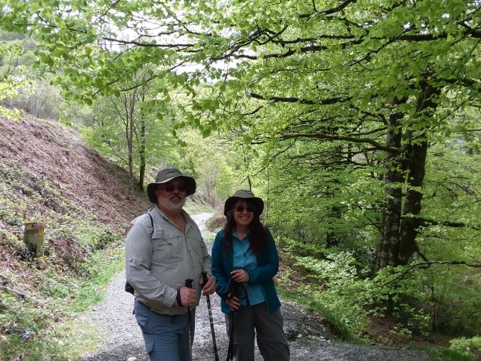 Entering Roncesvalles