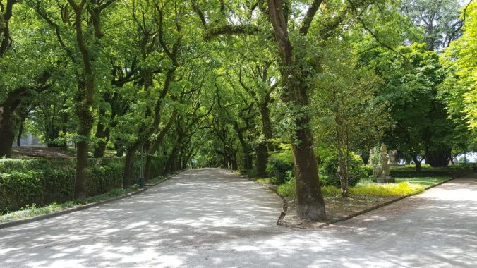 Alameda Park in Santiago de Compostela. Courtesy of Karin Kiser.
