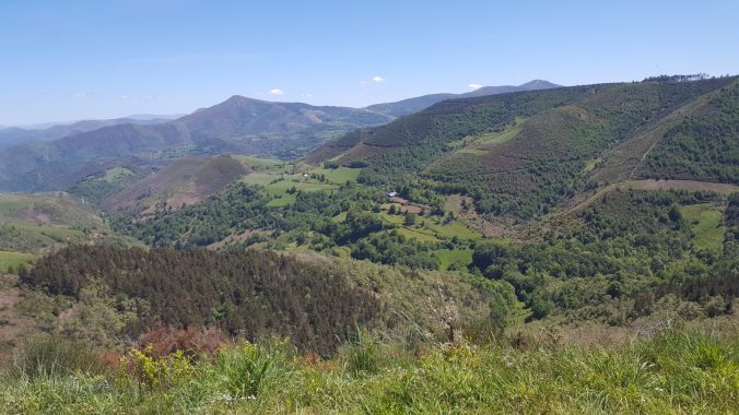 View along the ascent to O Cebreiro. Photo courtesy of Karin Kiser.